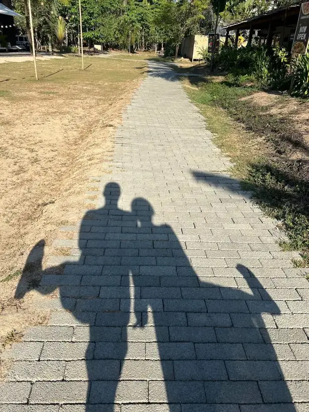 愛妮島